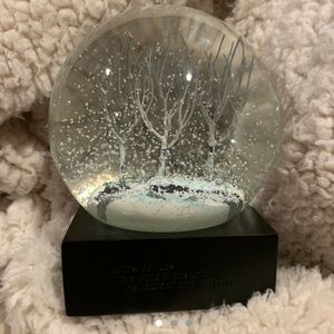 winter snow globe